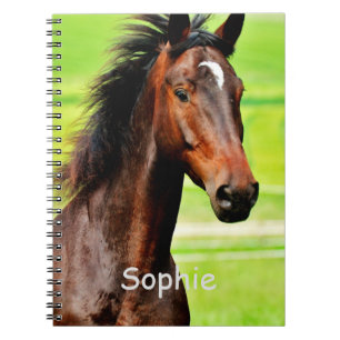 Personalised Horse & Name Notebook