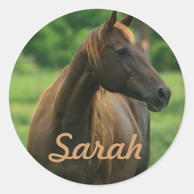 Personalised Horse Stickers (Front)