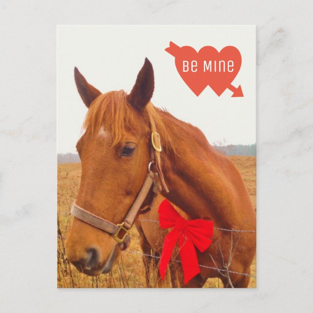 Personalised Horse Valentine with Bow Postcard (Front)
