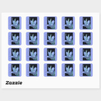 Personalised Hosta Lavender Flower Macro Photo