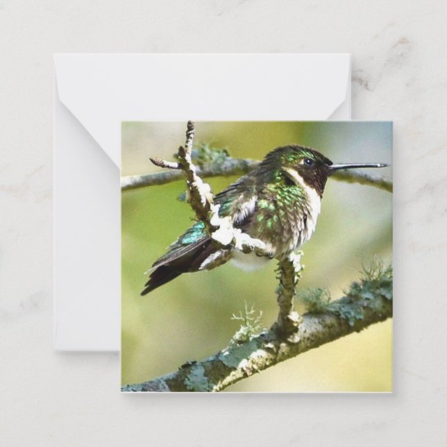 Personalised Hummingbird mini notecards (Front)
