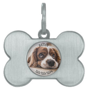 Personalised If Found Call, Dog Tags Bone Shaped