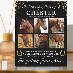 Personalised In Loving Memory Horse Plaque