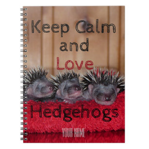 Personalised    Keep calm and love hedgehogs Notebook