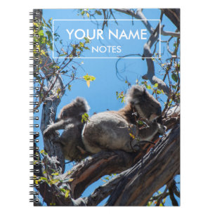 Personalised Koalas Notebook
