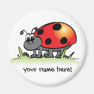 Personalised Ladybug Magnet