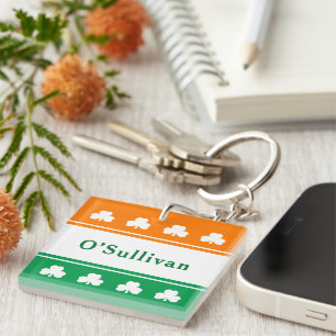Personalised Last Name Ireland Flag Colours Key Ring