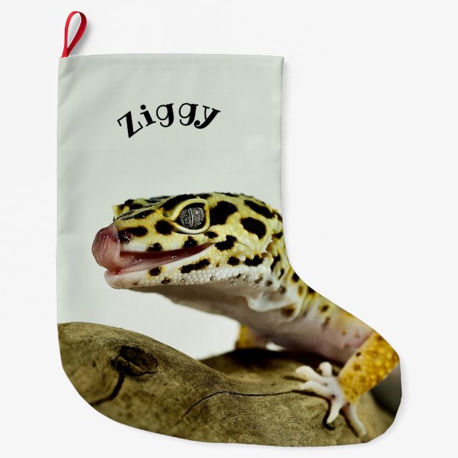 Personalised Leopard Gecko Lizard Large Christmas Stocking (Front)