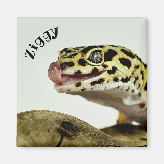 Personalised Leopard Gecko Lizard Magnet (Front)