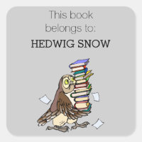 Personalised Library Cute Owl Bookplate