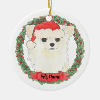 Personalised Long Haired White Cream Chihuahua 