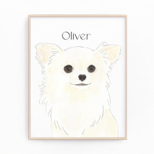 Personalised Long Haired White Cream Chihuahua  Photo Print
