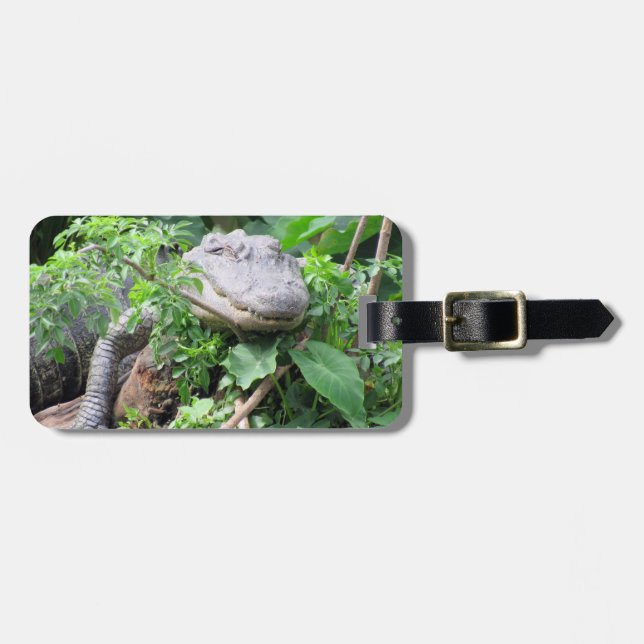Personalised Luggage Tag - Comfy Gator (Front Horizontal)