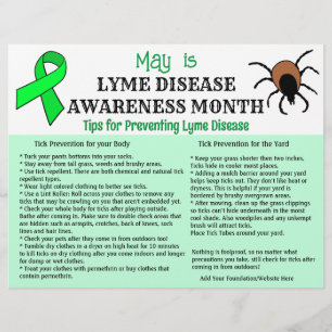 Personalised Lyme Disease Prevention Educational Flyer