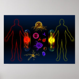 Personalised medication poster