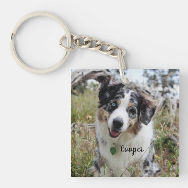Personalised Merle Australian Shepherd Puppy Key Ring (Front)