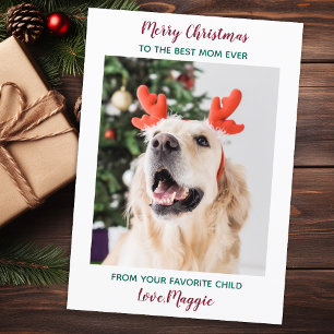 Personalised Merry Christmas Dog Mum Pet Photo Hol Holiday Card