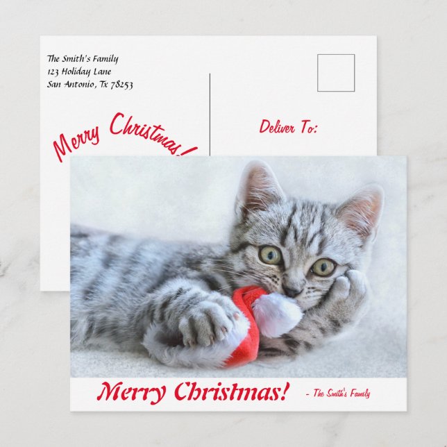 Personalised Merry Christmas Kitten with Santa Hat Postcard (Front/Back)