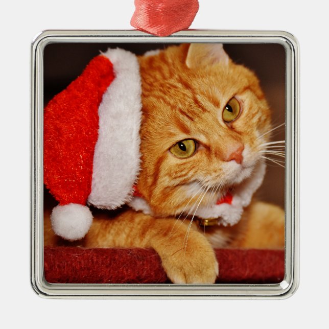 Personalised Merry Christmas Orange Tabby Cat Metal Ornament (Front)