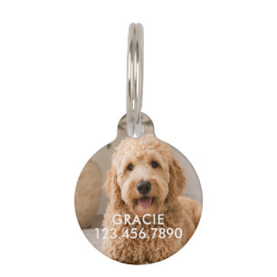 Personalised Modern Simple Pet Photo Tag