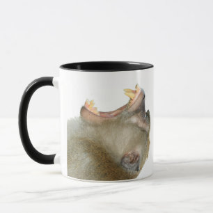 Personalised Mug - Get me a drink! Monkey