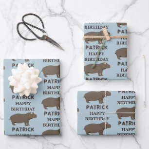 Personalised Name Birthday Hippopotamus Hippo Wrapping Paper Sheet