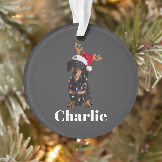 Personalised Name Christmas Dachshund Dog Lights Ornament (Tree)
