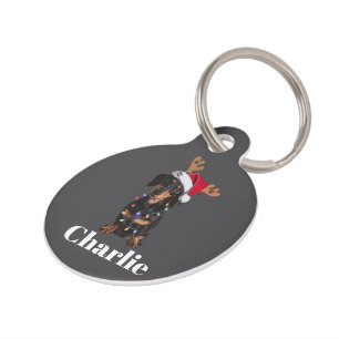 Personalised Name Christmas Dachshund Dog Lights Pet Tag
