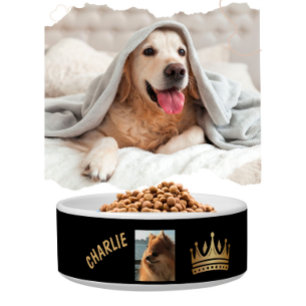 Personalised Name Pet Bowl