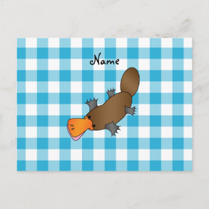 Personalised name platypus blue checkers postcard