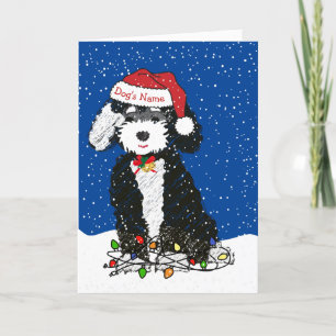 Personalised Naughty Bernedoodle Christmas Holiday Card