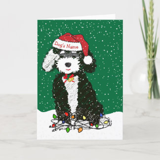 Personalised Naughty Bernedoodle Christmas Holiday Card
