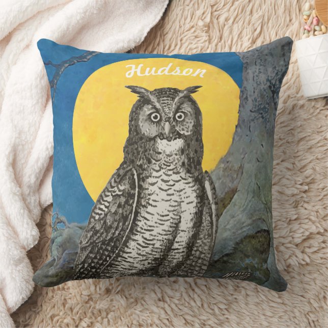 Personalised New Baby Boy's Room Cute Owl Cushion (Blanket)