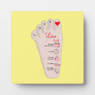 Personalised New Baby Gift Birth Stats Details Plaque