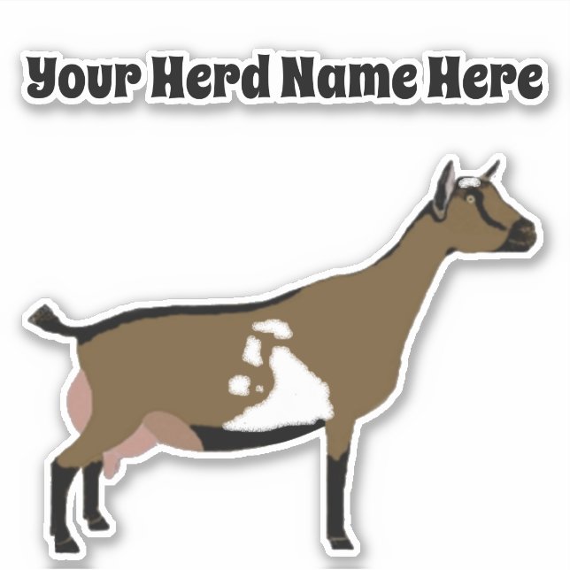 Personalised Nigerian Dwarf Dairy Goat (Front)