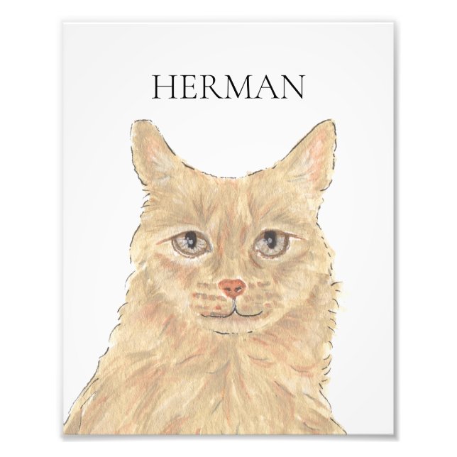Personalised Orange Maine Coon Art Photo Print (Front)