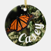 Personalised Orange Monarch Butterfly Nature Photo