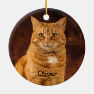 Personalised Orange Tabby Cat Ceramic Ornament