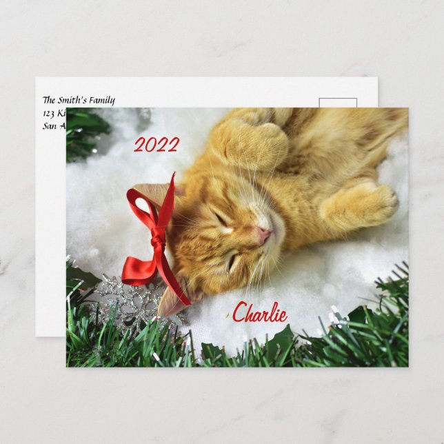 Personalised Orange Tabby Cat Christmas Postcard (Front/Back)