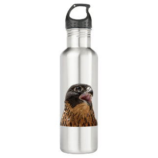 Personalised Peregrine Falcon 710 Ml Water Bottle