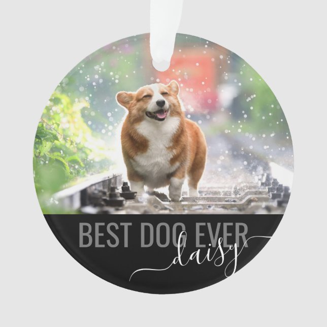 Personalised Pet Best Dog Ever Modern Photo Ornament (Front)