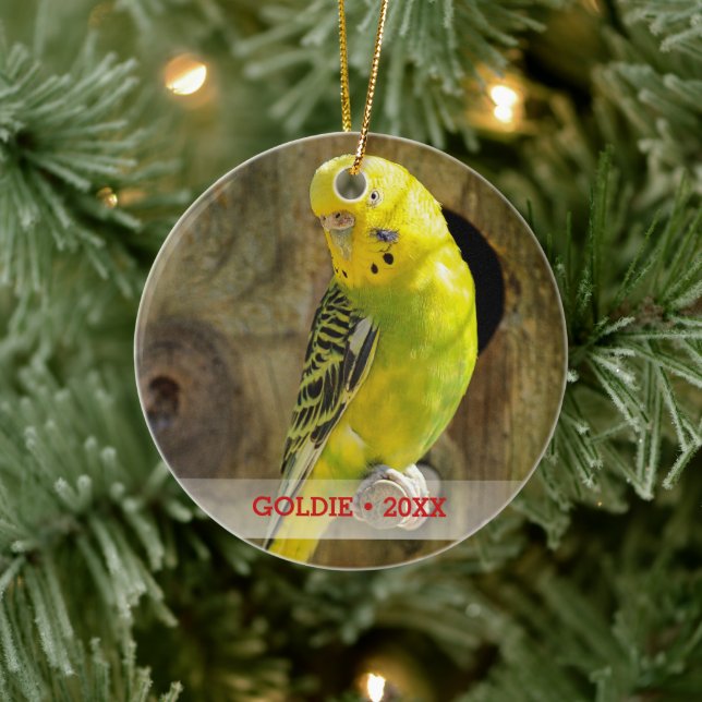 Personalised Pet Bird Photo & Name Christmas Tree Ceramic Tree Decoration (Tree)
