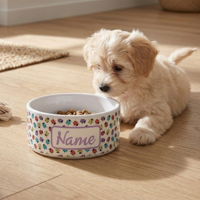 Personalised Pet Bowl with Colourful Ladybugs (Creator Uploaded)