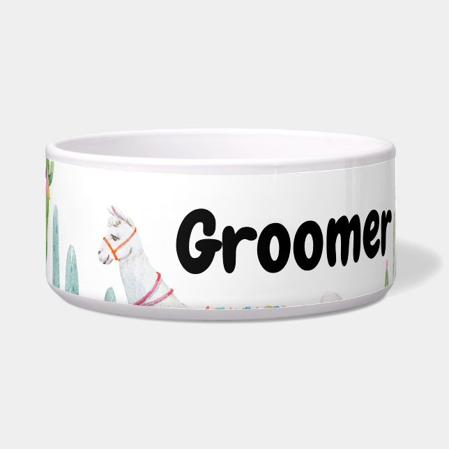 Personalised Pet Bowls Boho Llama Bohemian Cacti D (Front)