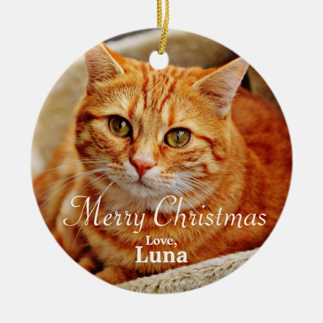 Personalised Pet Christmas Holiday Photo Ceramic Ornament (Front)