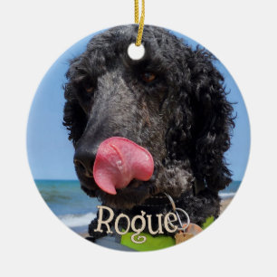 Personalised Pet Christmas Ornament