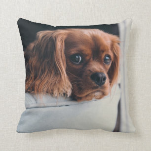 Personalised Pet Cushion