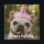 Personalised pet dog birthday  Magnet<br><div class="desc">celebrating pets birthday 
create your own pets photo and birthday wishes.</div>