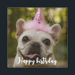 Personalised pet dog birthday  Magnet<br><div class="desc">celebrating pets birthday 
create your own pets photo and birthday wishes.</div>