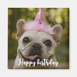 Personalised pet dog birthday  Magnet